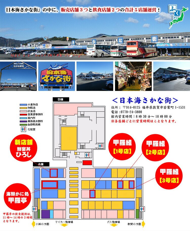 さかな街について