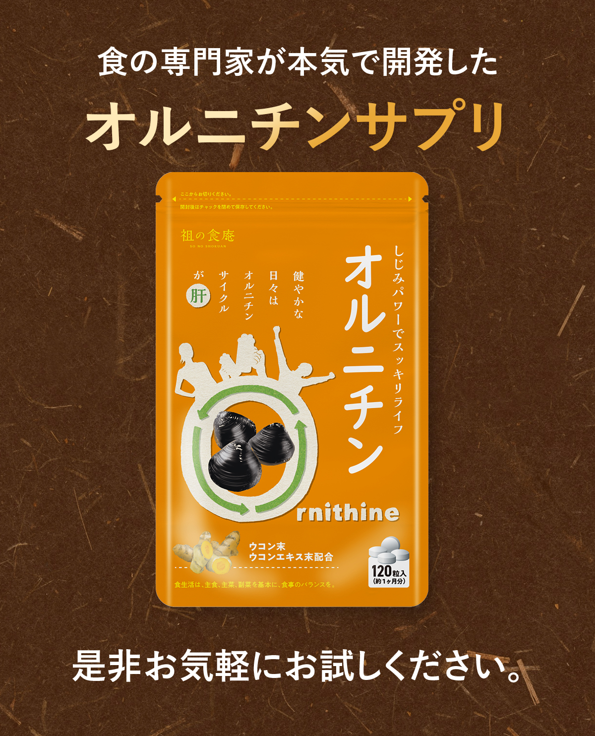 お試し