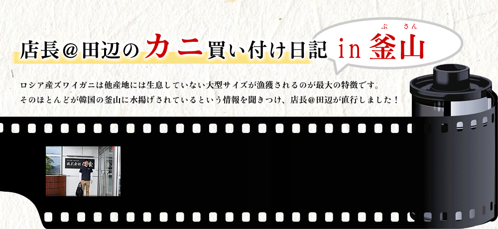店長＠田辺のカニ買い付け日記in釜山
