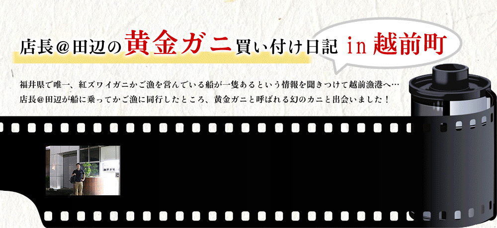 店長＠田辺のカニ買い付け日記in越前町