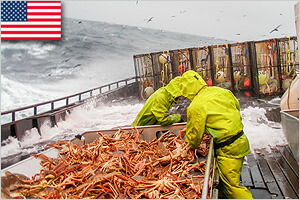 アラスカベーリング海のカニ漁