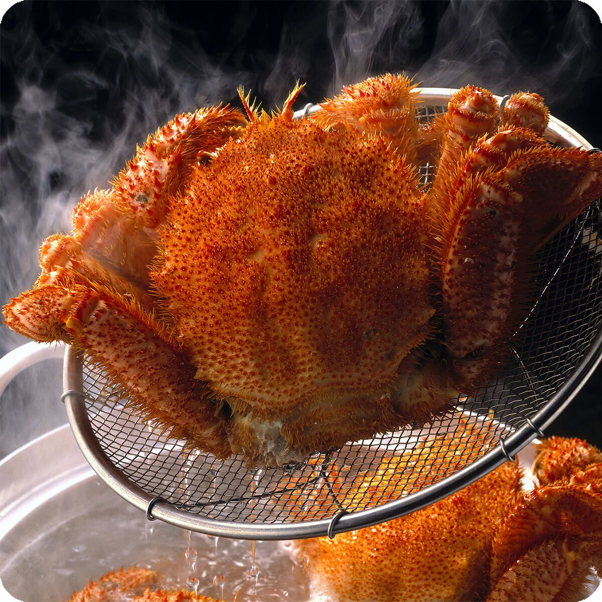 蟹 カニ 生ずわい蟹 カット済み 1.2kg ( 600g×2パック )｜永久不滅