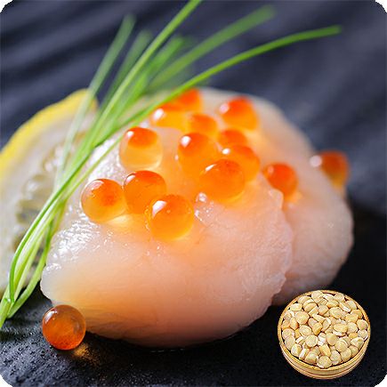 北海道産お刺身生ほたて貝柱たっぷり1kg（約80～150粒前後） | 越前か