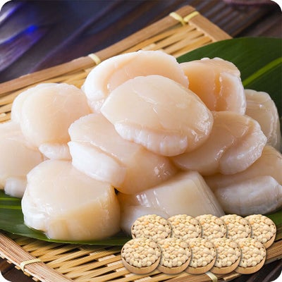 北海道産のお得な【訳あり（割れ/不揃い）】生ほたて貝柱どっさり1kg 