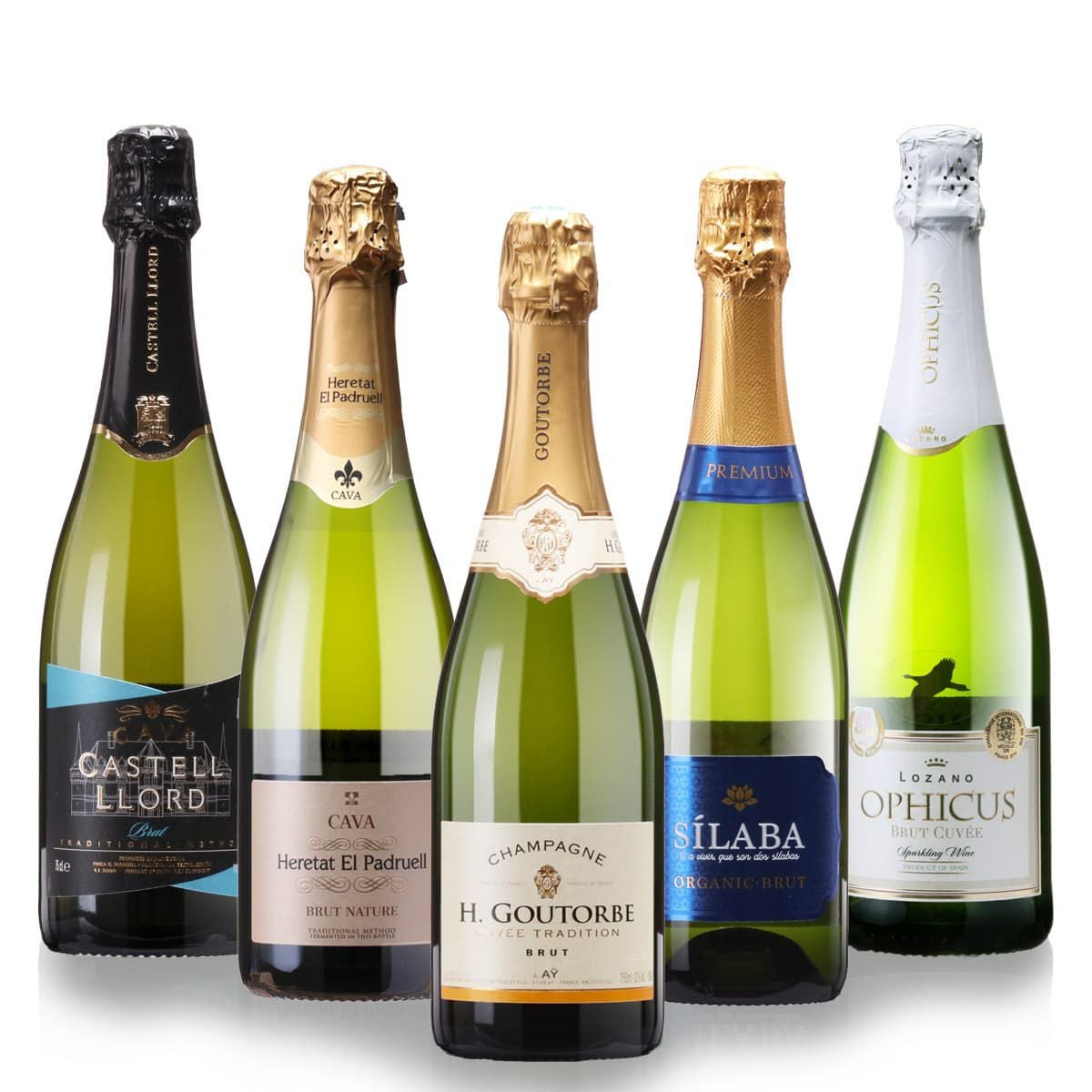 シャンパン＆金賞ワイン入り！スパークリングワイン5本 辛口