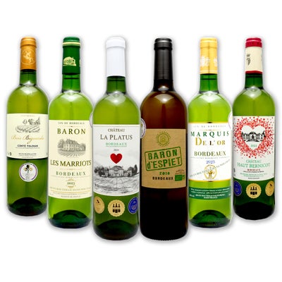 フランス金賞のみ！ 白ワイン6本飲み比べセット [ 750ml 6本 ] 辛口 白 